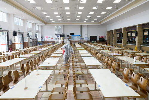 餐餐添香，楠傲承包——佛山三水工厂员工食堂的食材鲜味与品质承诺